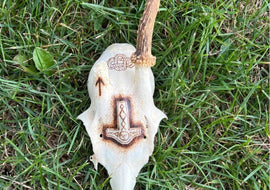 Rehbockschädel | Mjölnir